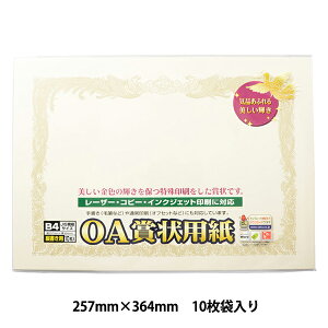 ܏p wOA܏p N[ B4 cp 10-1077x SASAGAWA TTK