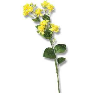 ���� �h���C�t�����[ �w�W���X�~��×9 �ڂ�×19 �C�G���[ A-32830-010�x asca �A�X�J����