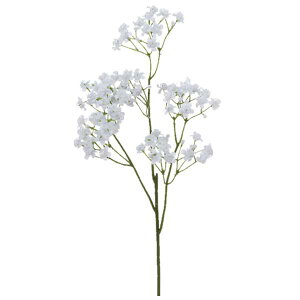  hCt[ wWv\tB×70 ڂ×36 zCg A-32777-001x asca AXJ