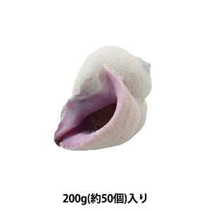 �A�N�Z�T���[�f�� �w�V�F���p�[�c �Z�u�r���[�e�B�[ 002�x