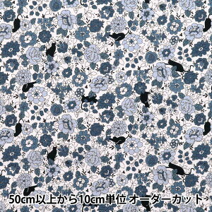 y5z n wV[`O ԂƍL u[ YUZ-923-2x