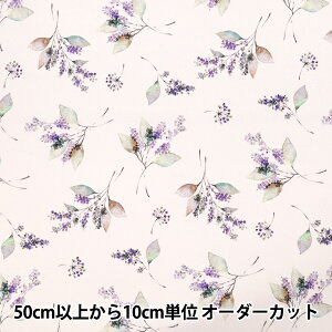 y5z n wmOmen-t [g CNWFbgvg ԕ  150-1668-B-2x