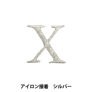 by wACڒAt@xbgby X Vo[ SM2348x