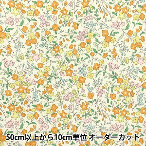 y5z n w͂cC gt[K[f CG[ TWTC-LF-YEx