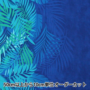 y5z n w}EiA T/C nCAvg Of[V lCr[YFOP0336x