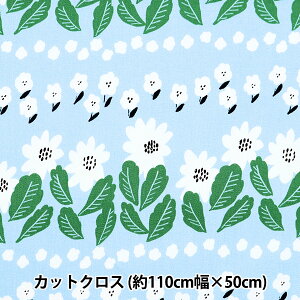 n wkippis (LbsX) IbNX JbgNX 110×50cm s̃}[Kbg F KPOK-69Ax