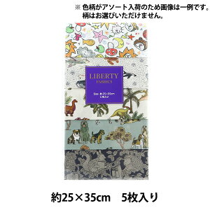 n woeBEt@ubNX JbgNX 5Zbg Aj}YLbY C-LIBERTY53A3xLiberty Japan oeBWp