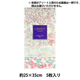 生地 『リバティ・ファブリックス カットクロス アソートサンリオピンク 5枚セット C-LIBERTY5SA1』