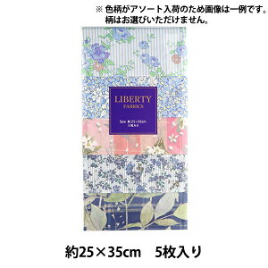 n woeBEt@ubNX JbgNX A\[gu[ 5Zbg C-LIBERTY54S6xLiberty Japan oeBWp