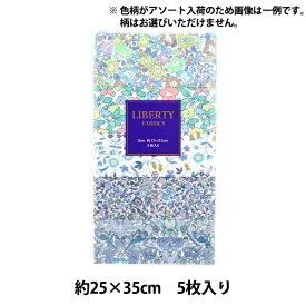 生地 『リバティ・ファブリックス カットクロス アソートネオンブルー 5枚セット C-LIBERTY54S9』Liberty Japan リバティジャパン