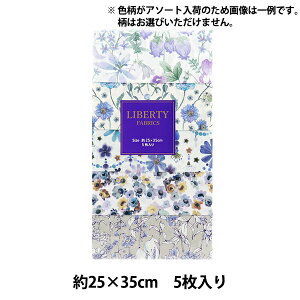 n woeBEt@ubNX ^i[ 5gJbg lCeBut[Y C-LIB5-24AW05x Liberty Japan oeBWp