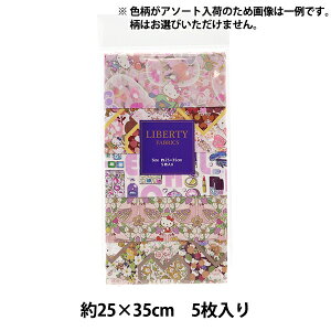 n woeBEt@ubNX JbgNX 5Zbg 24AWn[LeB u[ C-LIB5-24AW07xLiberty Japan oeBWp