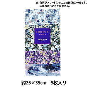 n woeBEt@ubNX JbgNX 5gZbg p[[NX}X u[ C-LIB5-24AW09x Liberty Japan oeBWp