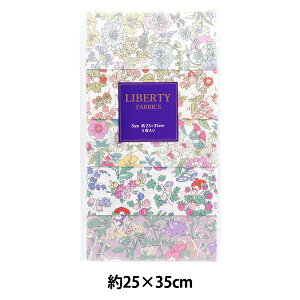 n woeBEt@ubNX JbgNX }CfB 5Zbg C-LIB5-25SS03x Liberty Japan oeBWp