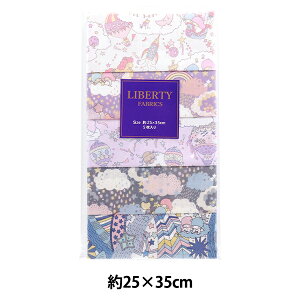 n woeBEt@ubNX JbgNX gcCX^[Y 5Zbg C-LIB5-25SS04x Liberty Japan oeBWp