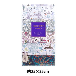 n woeBEt@ubNX JbgNX s[ibc u[ 5Zbg C-LIB5-25SS06x Liberty Japan oeBWp