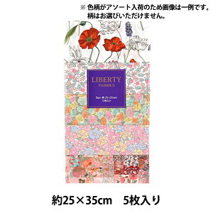 n woeBEt@ubNX JbgNX UEg[h sNn 5Zbg C-LIB5-25SS01x Liberty Japan oeBWp