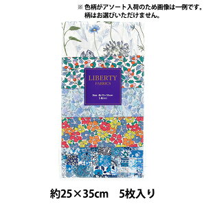 n woeBEt@ubNX JbgNX UEg[h u[n 5Zbg C-LIB5-25SS02x Liberty Japan oeBWp