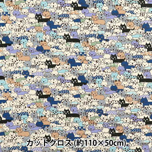 n wV[`O lR炯 JbgNX 110×50cm u[ C-ACS1107-Bx
