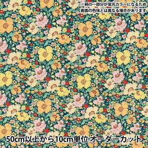 y5z n woeBEt@ubNX lIJ[ ^i[ hDE\OElI DC35072GJ25Bx Liberty Japan oeBWp