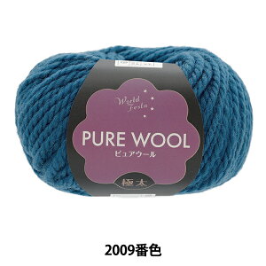 H~ю wsAE[ ɑ 2009ԐF ZAu[x World Festa [htFX^