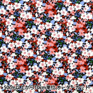 y5z n woeBEt@ubNX ^i[ p[[ENX}X PCeBY 3630183P24Ex Liberty Japan oeBWp