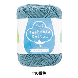 tĖю wEHbVuRbg 110ԐF ^[RCXu[x