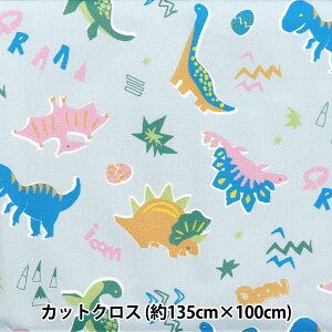 n w͂RۖhL|GXe JbgNX 135cm×100cm Jt u[ C-HP-SC-CO-BLx