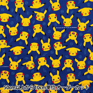 y5z n wIbNX |PbgX^[ sJ`EtFCX lCr[ G-6126-1Bx KOKKA RbJ