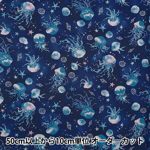 y5z n wNOVA V[`O ʃNQ u[ NSE-JELLY-BLx KOKKA RbJ