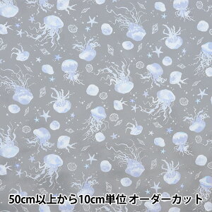 y5z n wNOVA V[`O ʃNQ O[ NSE-JELLY-GYx KOKKA RbJ