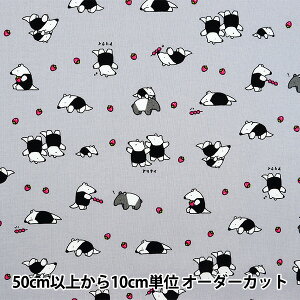 y5z n wV[`O gAj}[h ANC AP45104-3Ex