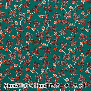 y5z n wSOULEIADO \CA[h Be[WtB[ T|l eB[O[ SLFCV-111Cx