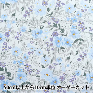 y5z n wmOmen-t [g ȖV[`O \t[H t[gt[ u[ 144-8050-F4BLx