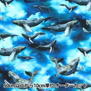 y5z n wfW^vg ~XC  mingswim011x