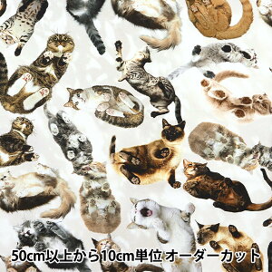 y5z n wfW^vg ~XC ˂ mingswim012x