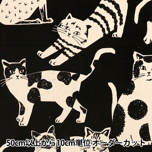 �y����5����z ���n �wechino (�G�`�m) NekoNoe CAT CAT �Ȗ��L�����o�X �u���b�N EYX-91000-101A�x KOKKA �R�b�J