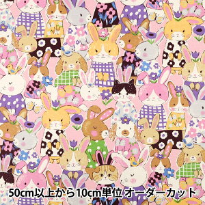 �y����5����z ���n �w�I�b�N�X �p���t���A�j�}�� �������� �s���N YGA-89000-1B�x KOKKA �R�b�J