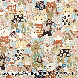 �y����5����z ���n �w�I�b�N�X �p���t���A�j�}�� �������� �~�Y�C�� YGA-89000-1C�x KOKKA �R�b�J