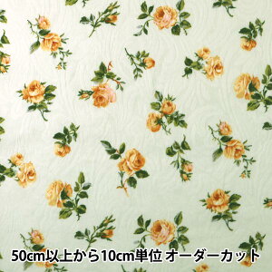 y5z n wtNWK[h ԕx YUWA L֏X