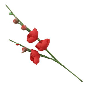  VNt[ w~sbN bh V23210-003x