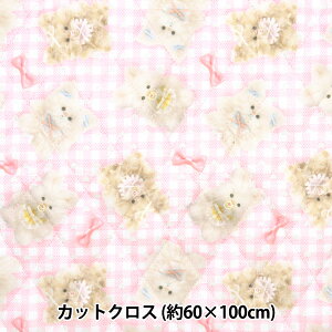 n wimaDOKIkids LgJbgNX 60cm×100cm ӂӂxr[{ sN IMAF-22QC-Px KIYOHARA 