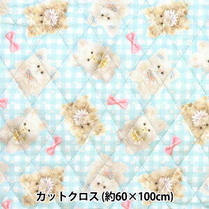 n wimaDOKIkids LgJbgNX 60cm×100cm ӂӂxr[{ u[ IMAF-22QC-BLx KIYOHARA 