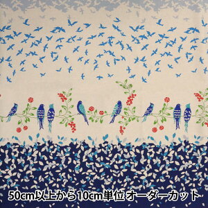 y5z n wG`m X^_[h Bird Song 10D lCr[x KOKKA RbJ