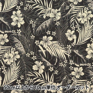 y5z n wT/C nCAvg nCrXJX ubN 205042-2x