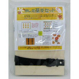 楽天市場 押し花 セットの通販