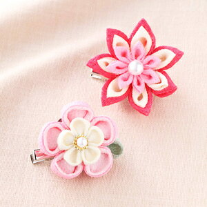 |Lbg w߂܂ݍ׍H Ԃ̃u[` sN LH-380x Panami pi~ ^JM@