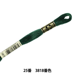 hイ wDMC 25ԎhJ 3818ԐFx DMC fB[GV[