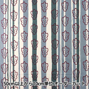 y5z n wSOULEIADO \CA[h IbNX SLFOX-55Cx