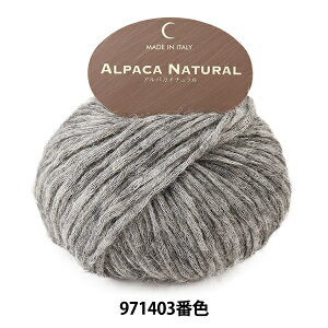 H~ю wApJi` `R[O[ 971403ԐFxyU菤iz